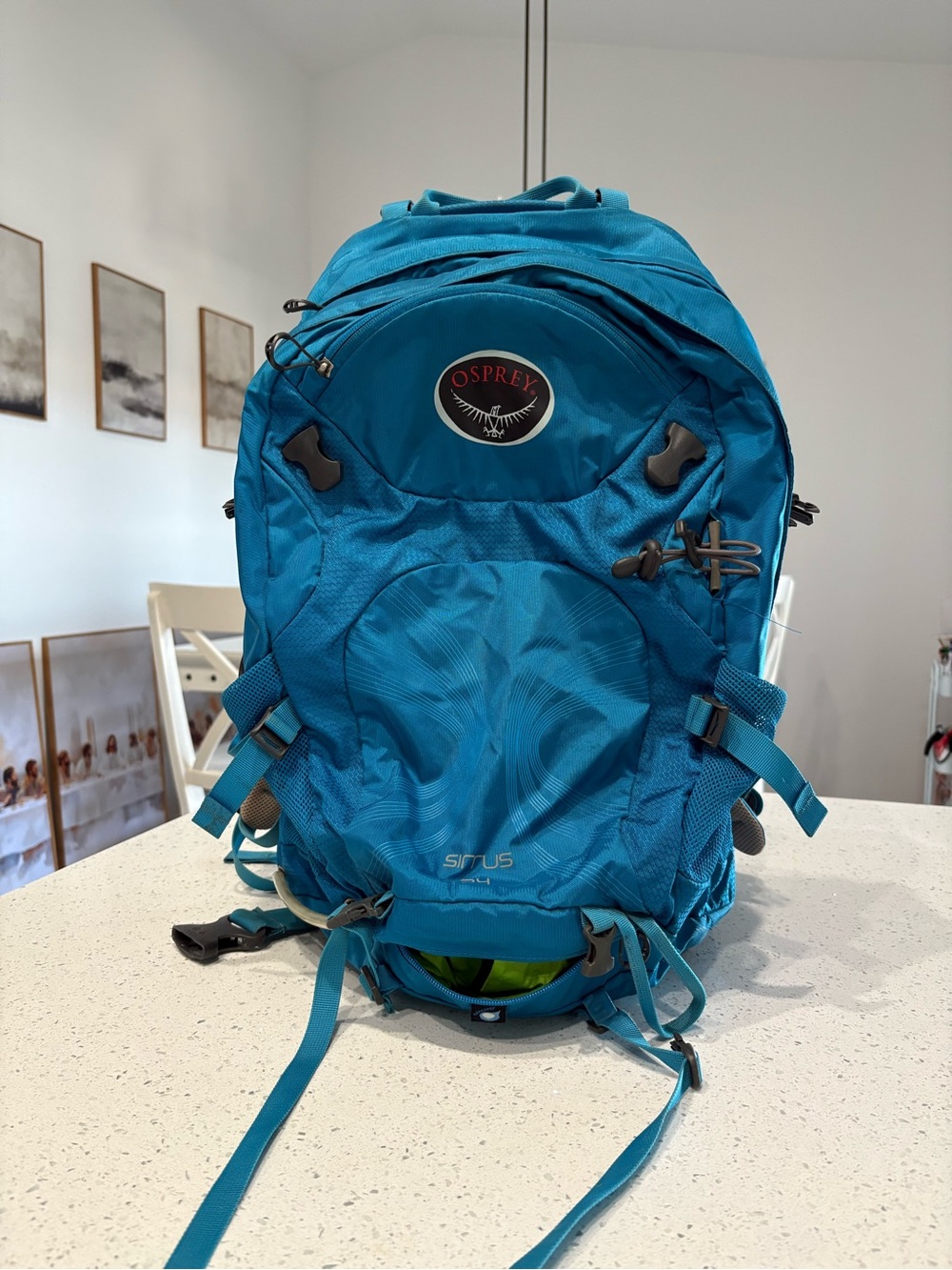 OSPREY SIRRUS 24 Teal Blue Hiking Backpack Hip Pack